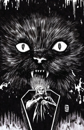 Buy Stuff of Nightmares: The Cat in the Coffin #1 I Unlimited Variant Comic Books From Kollect Korner at $4.99 1
